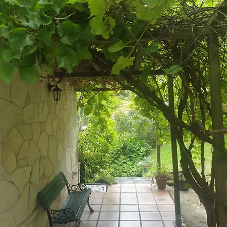 Rozas * Puente Viesgo