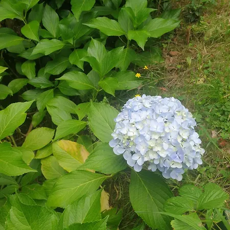 בית נופש Rozas