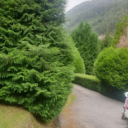 Rozas * פואנטה ויסגו