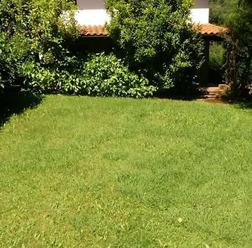 Rozas * Puente Viesgo