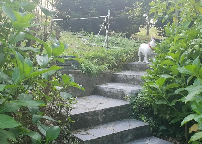 Rozas * Puente Viesgo