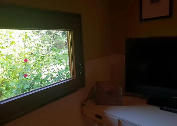 Rozas * Puente Viesgo