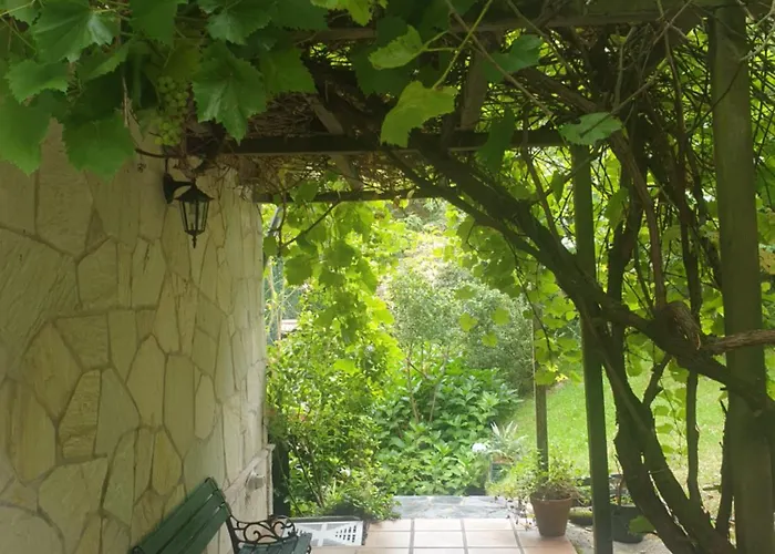 Rozas * Puente Viesgo