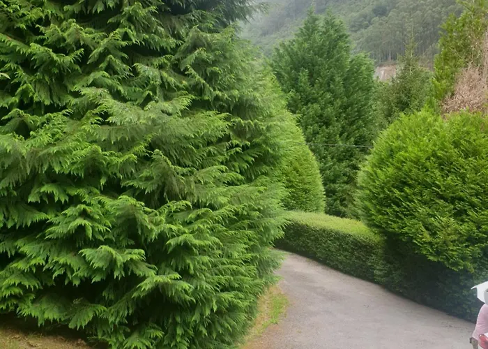 Rozas * Puente Viesgo