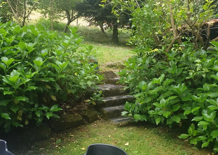 Rozas * Puente Viesgo